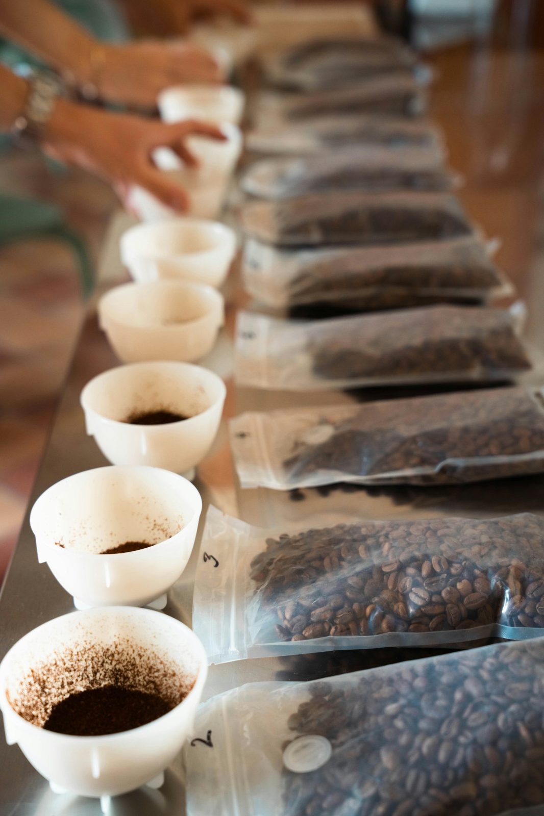 Sensory Taste Testing Experiment Setup